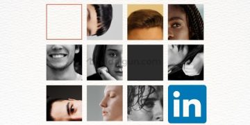 How to Add a Portfolio to LinkedIn